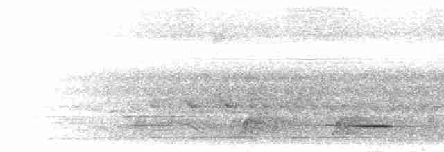 Batis de Boulton (kathleenae) - ML279919