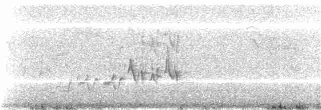 Чечевиця кармінова (підвид californicus) - ML279987691