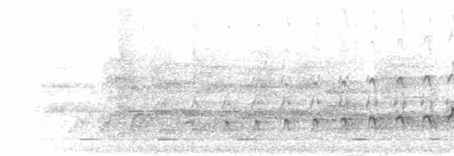 Turuncu Gagalı Boynuzgaga - ML280025