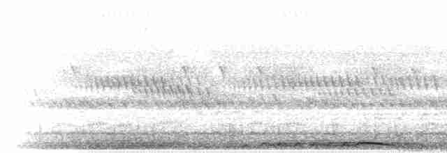 Южная белолицая совка - ML280041