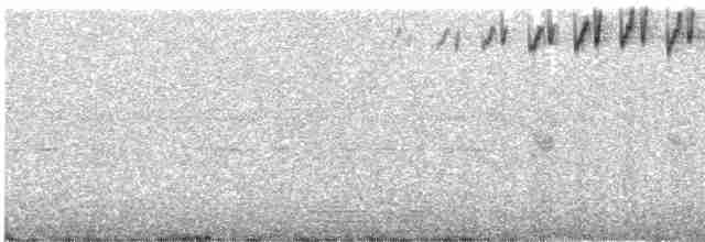 lesňáček černohlavý - ML280061681
