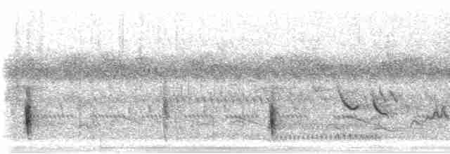 Чагра буроголова - ML280100