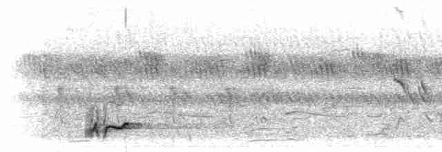 Spotted Morning-Thrush - ML280102