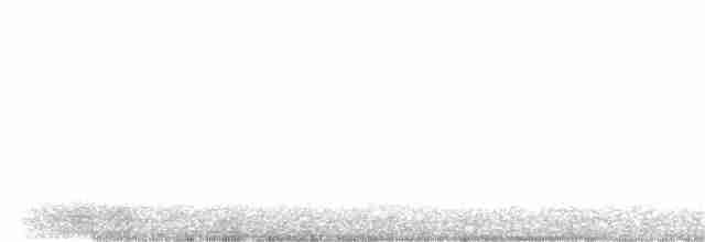 Élanion à queue blanche - ML280103731
