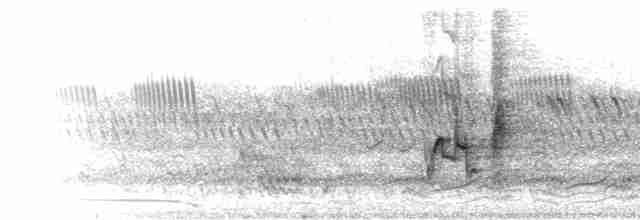 栗頭麗椋鳥 - ML280104