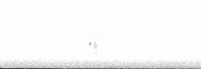 Kap Arapbülbülü - ML28012611