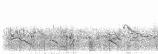 Kısa Kuyruklu Toygar - ML280152