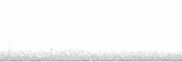 Белохвостый коршун - ML280155151