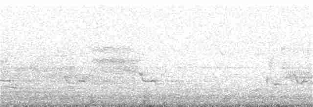 Gray Catbird - ML28015931