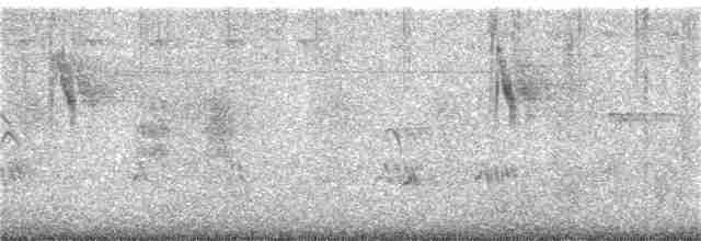 Eastern Yellow Wagtail - ML280163301