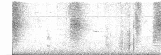 Дронго сірий - ML280163591