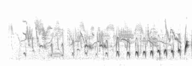 Bandgrasmücke - ML280168