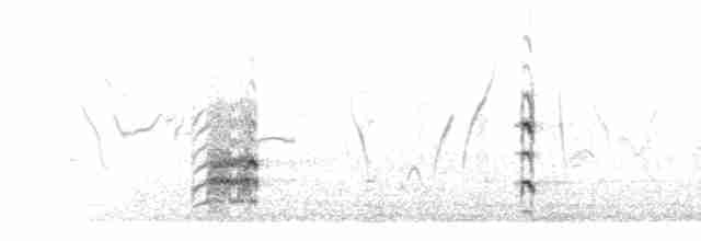 Чернокрылый чибис - ML280175
