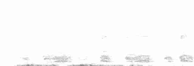 Feensturmvogel - ML280191951