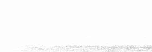 Pufla Fırtınakuşu - ML280192221