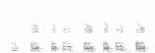 Feensturmvogel - ML280193391