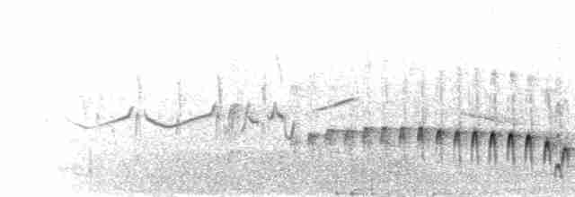Bandgrasmücke - ML280194