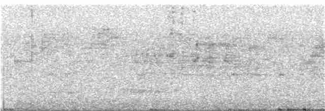 Seylan Tepe Kırlangıcı - ML280197291