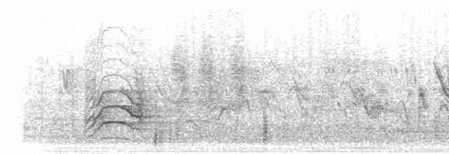 vlha běločelá - ML280222