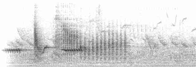 Малая пухоспинка - ML280261