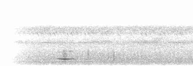 svartpannebuskvarsler - ML280275
