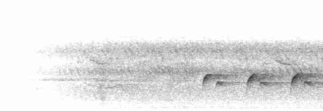 svarthodeapalis - ML280276
