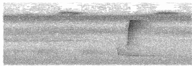 Піколезна тонкодзьоба - ML280288571