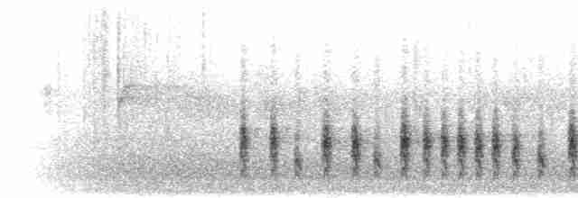 Olivbrustbülbül (Streifenohrbülbül) - ML280328