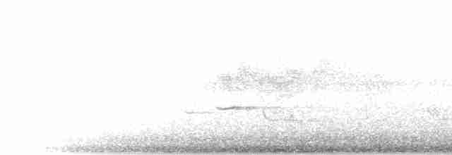 holub slézovoprsý - ML280334