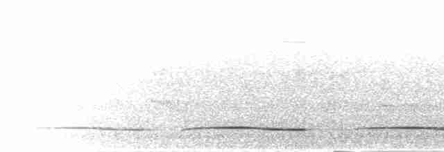 Зозуля-довгохвіст гірська (підвид patulus) - ML280343