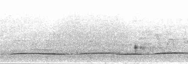 Зозуля-довгохвіст гірська (підвид patulus) - ML280344