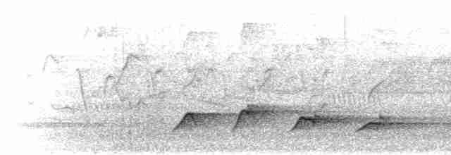 Зозуля-довгохвіст гірська (підвид patulus) - ML280350