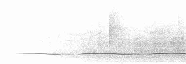 Зозуля-довгохвіст гірська (підвид patulus) - ML280352