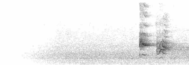 Çatal Kuyruklu Drongo - ML280354