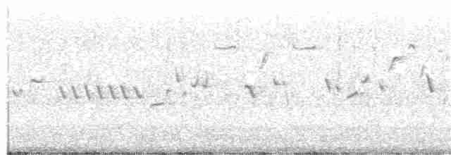 Troglodyte des forêts - ML280356771