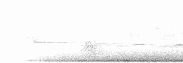 holub slézovoprsý - ML280364