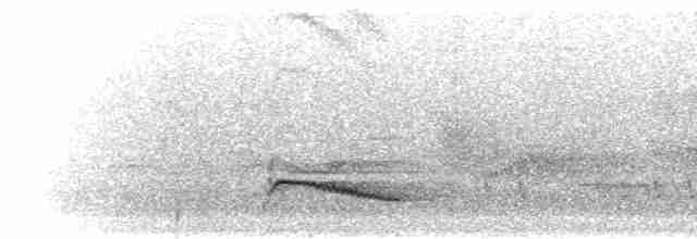 Cossyphe à poitrine blanche - ML280367