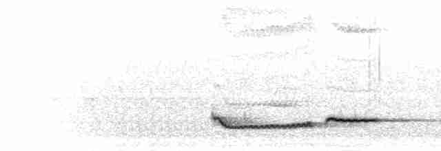 Cossyphe à poitrine blanche - ML280368