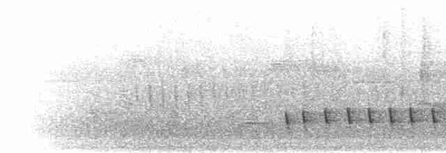 Bergbartvogel - ML280372