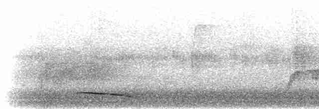 Bar-tailed Trogon - ML280384