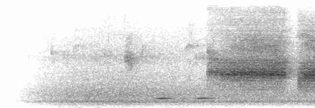 svartpannebuskvarsler - ML280388