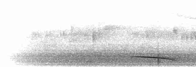 Trogon à queue barrée - ML280394