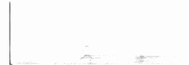 Лебідь чорнодзьобий - ML280394981