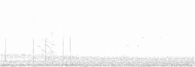 Common Redpoll (flammea) - ML280398241