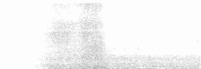 אלבטרוס שחור-גבות - ML280422261