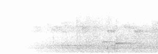 Зозуля-довгохвіст гірська (підвид patulus) - ML280437