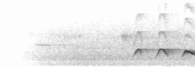 Зозуля-довгохвіст гірська (підвид patulus) - ML280438