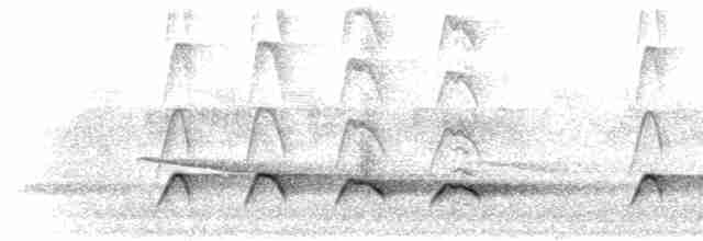 Зозуля-довгохвіст гірська (підвид patulus) - ML280439