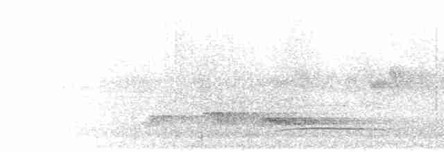 Зозуля-довгохвіст гірська (підвид patulus) - ML280440