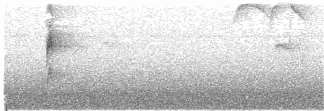 Weißbrillen-Blattspäher - ML280443001